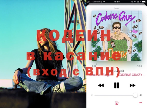 гидра Богданович