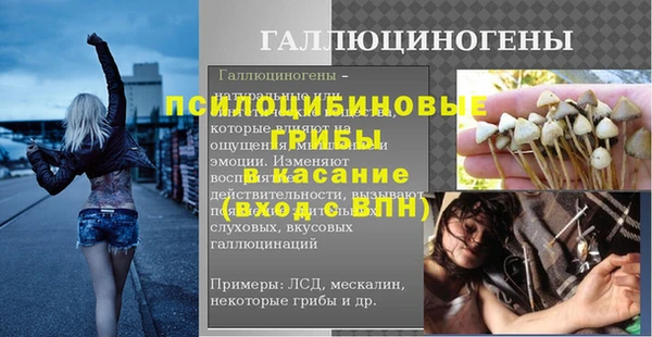 шишки Инсар