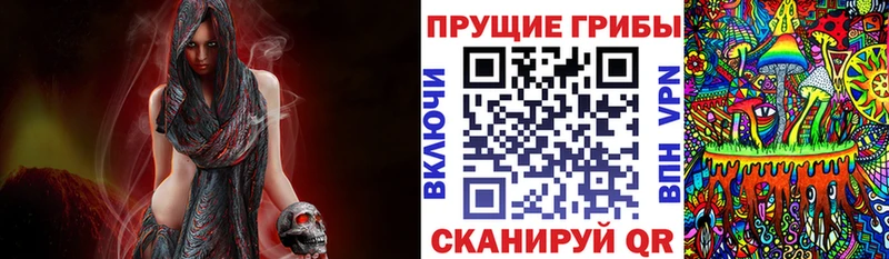 купить закладку  Городец  Галлюциногенные грибы Psilocybe 